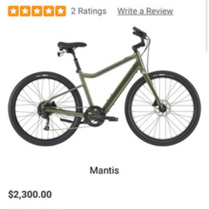 2020 Cannondale Treadwell Neo Green