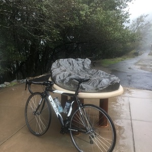 2011 Dolan Preffisio Black and White