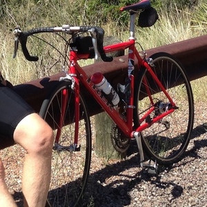 2000 Trek 2200 Red