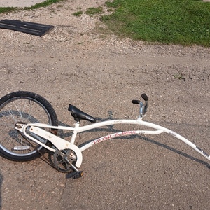 Adams Trail-A-Bike