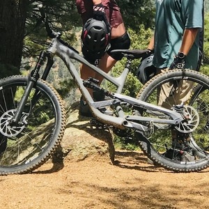 2019 YT Capra Silver, gray or bare metal