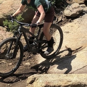 2019 YT Capra Silver, gray or bare metal