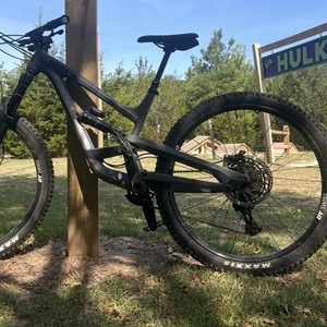 2019 YT Capra Silver, gray or bare metal