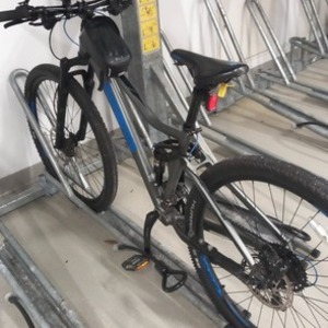 2019 Mongoose Bolt bicicleta Silver, gray or bare metal