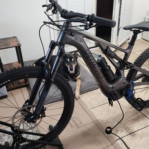 2023 Specialized Turbo Levo Carbon 3 Silver, gray or bare metal