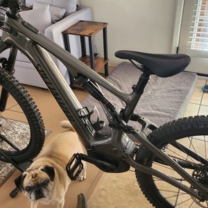 2023 Specialized Turbo Levo Carbon 3 Silver, gray or bare metal