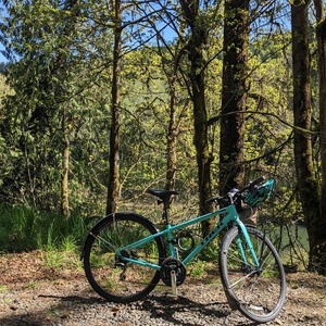 2019 Trek TREK FX 2 DISC WSD - 19 Teal