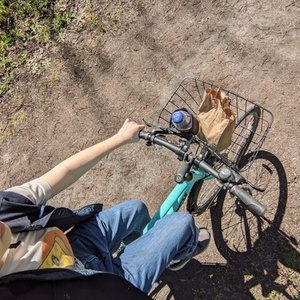 2019 Trek TREK FX 2 DISC WSD - 19 Teal