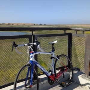 2015 Lapierre Pulsium 500 FDJ Blue, Red, and White
