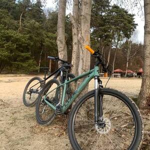 2022 Cube Green