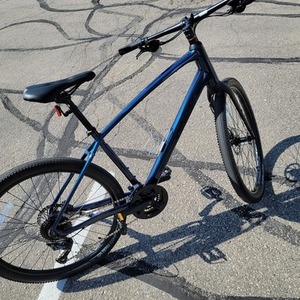 2023 Trek DUAL SPORT 2 L BL Blue
