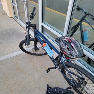 2023 Trek DUAL SPORT 2 L BL Blue