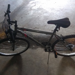 2017 Roadmaster Steel mountain frame Silver or Gray