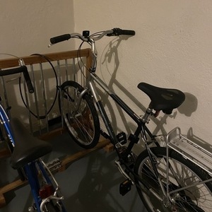 Raleigh SC7 Silver, gray or bare metal