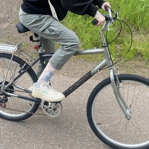 Raleigh SC7 Silver, gray or bare metal