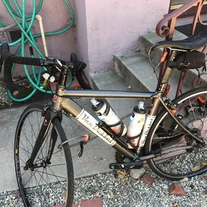 2011 Van Dessel Hellafaster Silver or Gray