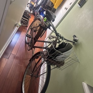 Raleigh Sport Brown