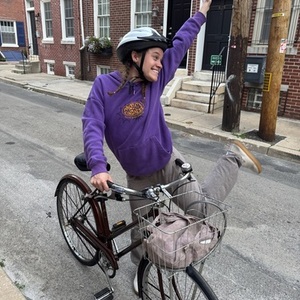 Raleigh Sport Brown