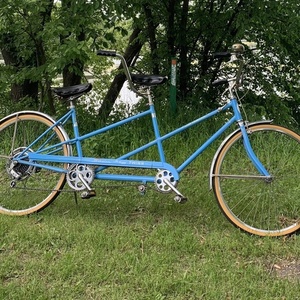 Schwinn De Luxe Twinn tandem Blue