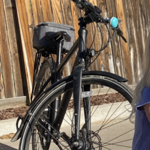 Priority Bicycles Continuum Black