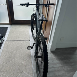 2019 Trek XCALIBER 8 Silver, gray or bare metal