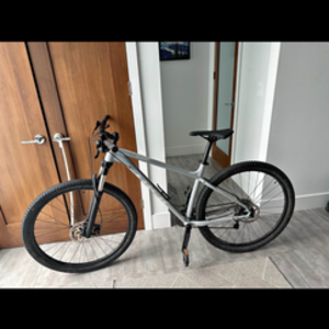 2019 Trek XCALIBER 8 Silver, gray or bare metal
