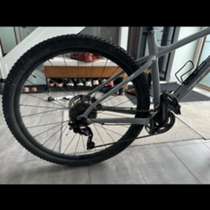 2019 Trek XCALIBER 8 Silver, gray or bare metal