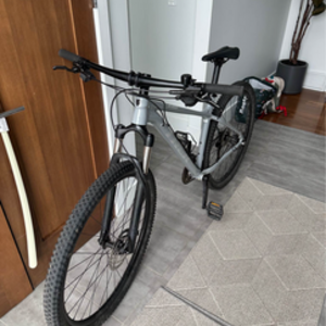 2019 Trek XCALIBER 8 Silver, gray or bare metal