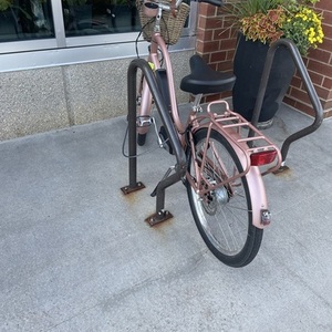 2026 Electra 2020 Pink
