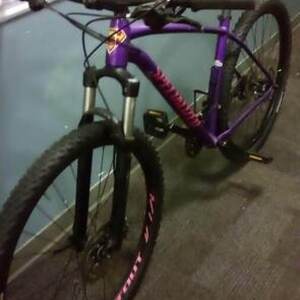 2018 Specialized Rockhopper expert 29er Purple and Pink