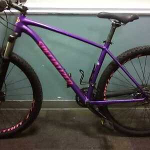2018 Specialized Rockhopper expert 29er Purple and Pink