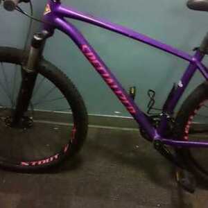 2018 Specialized Rockhopper expert 29er Purple and Pink