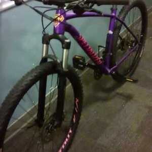 2018 Specialized Rockhopper expert 29er Purple and Pink