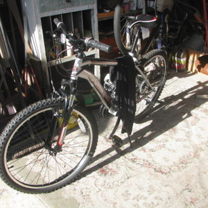 Schwinn Ranger