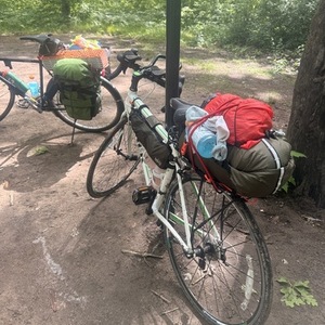 Trek Lexa S White