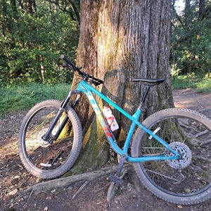 2023 Trek Roscoe 7 Teal and Black