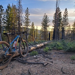 2023 Trek Roscoe 7 Teal and Black