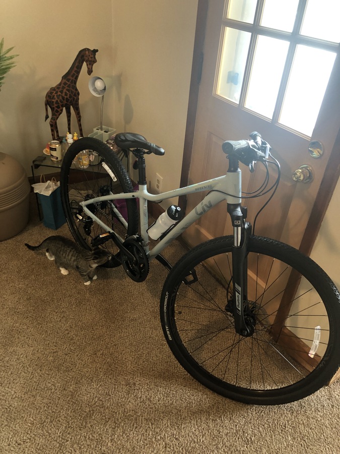 Bike photo