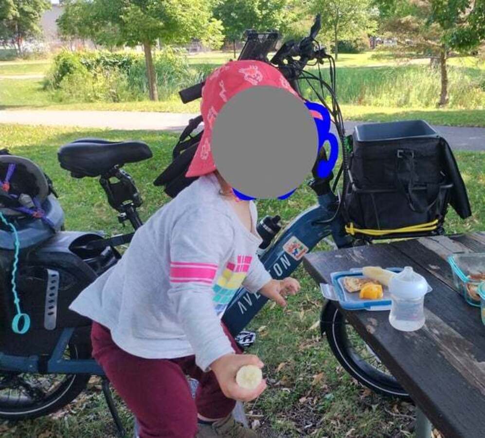Cargo Bike Rear photo