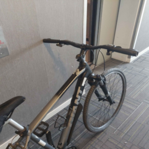 2017 Giant Roam 3 Black and Silver, gray or bare metal