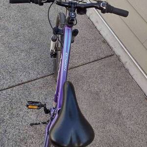 2015 Norco Bikes Diva Purple