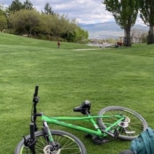 2021 GT Bicycles AGGRESSOR PRO LITE (small) Green