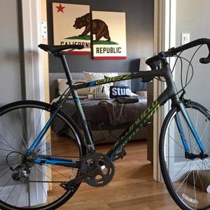 2015 Specialized Allez Elite Part No. 90015-4049 Silver or Gray, Green, and Blue