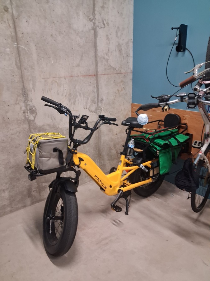 Cargo Bike Rear photo