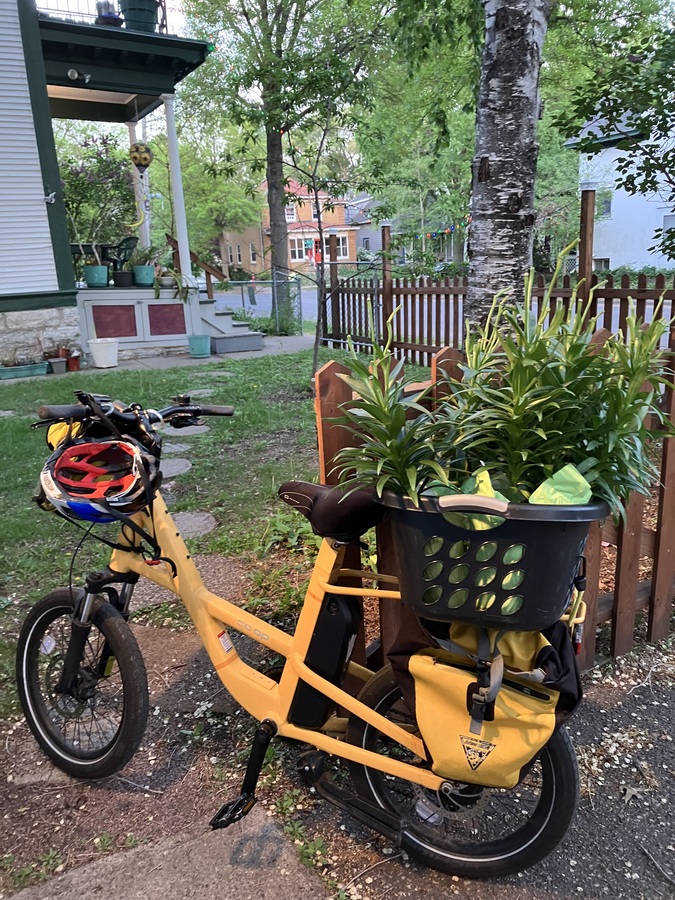 Bike photo