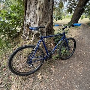 1995 Specialized Hardrock Sport Blue