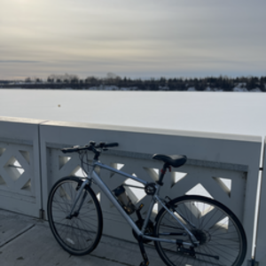 2024 Diamondback DIAMONDBACK LACHINE 1 700C (Q123) Silver, gray or bare metal