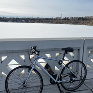 2024 Diamondback DIAMONDBACK LACHINE 1 700C (Q123) Silver, gray or bare metal