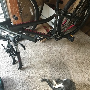 2016 Specialized Myka Silver or Gray