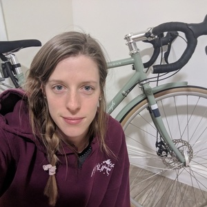 2017 Raleigh Clubman Green